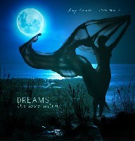 DREAMS - solo harp