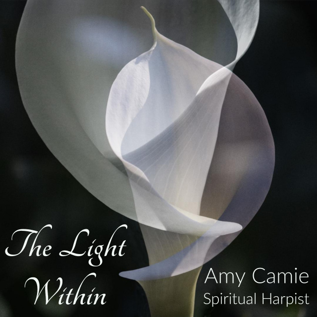 The Light Within - single track